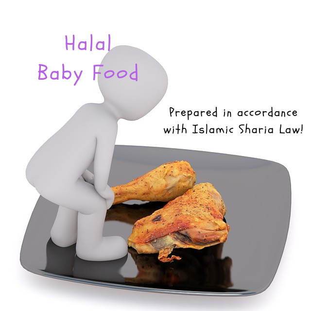 Halal Baby Food